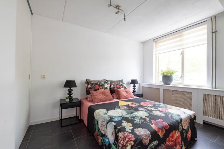 Foto 32 van Anna Bijnsring 252