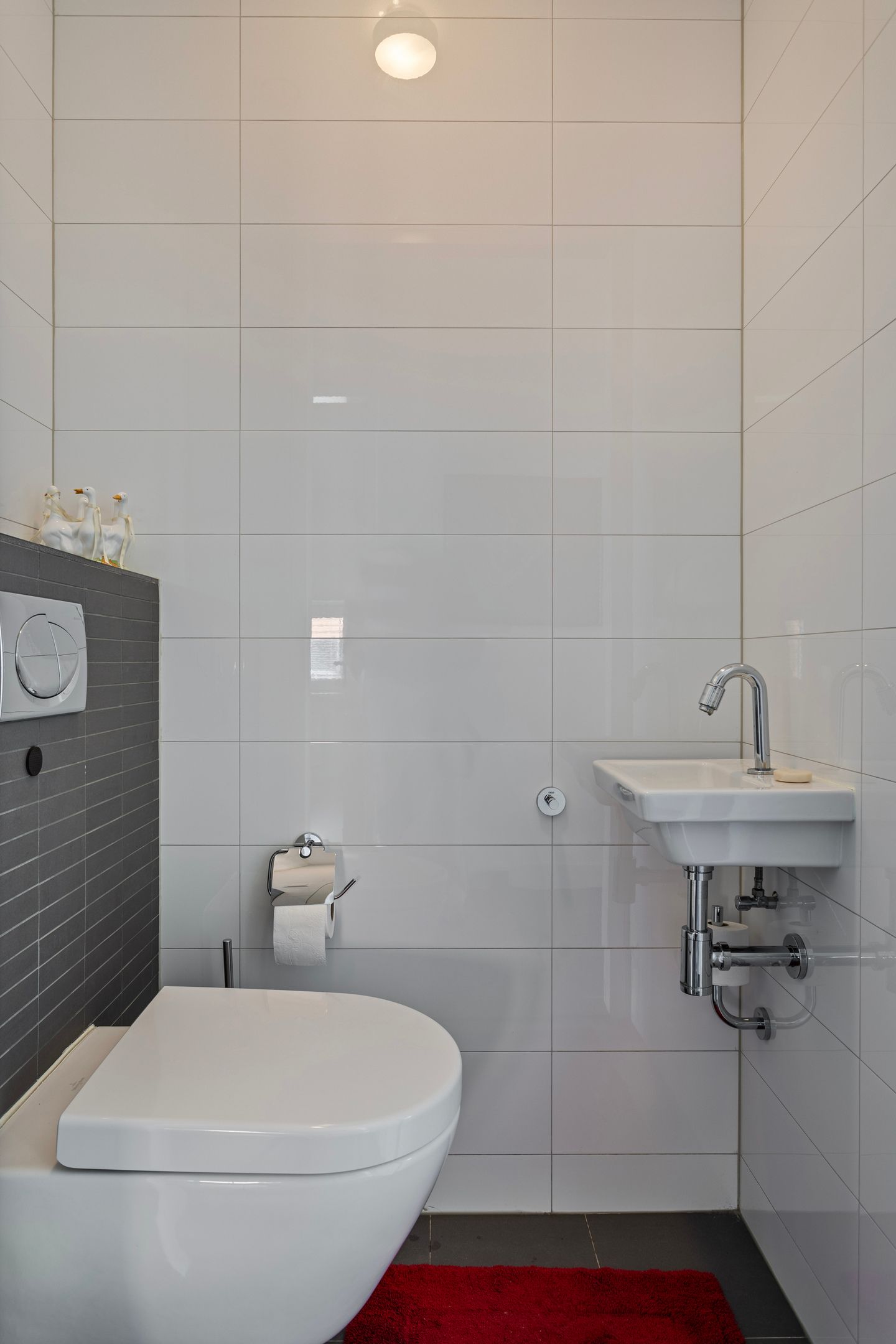 Foto 9 van 't Scheld 30