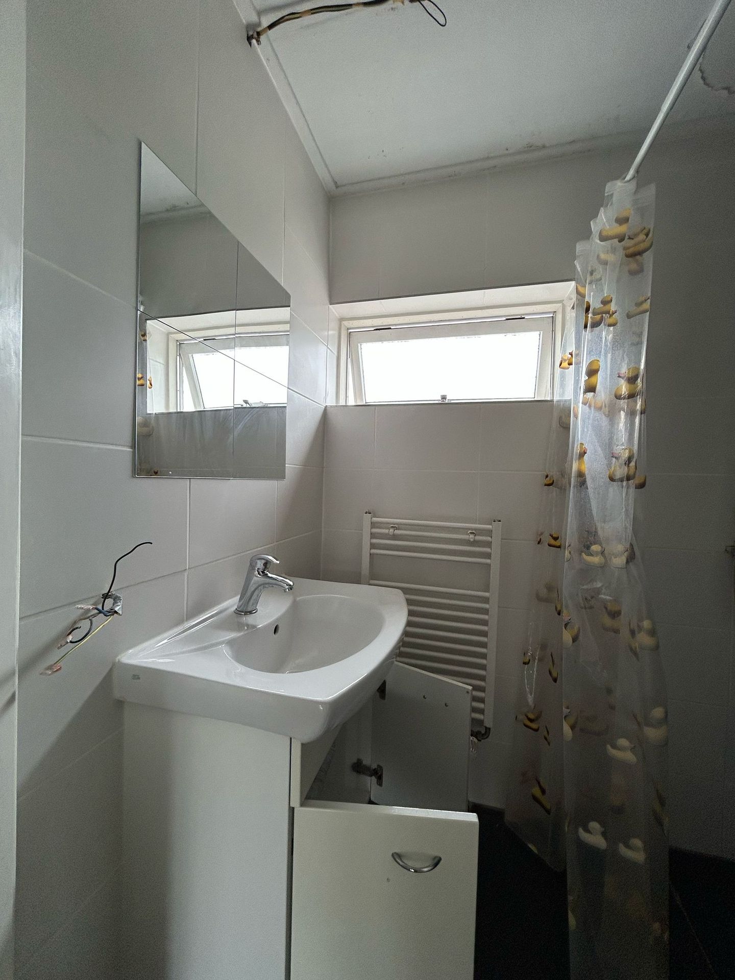 Photo 19 of Heinsiusstraat 188