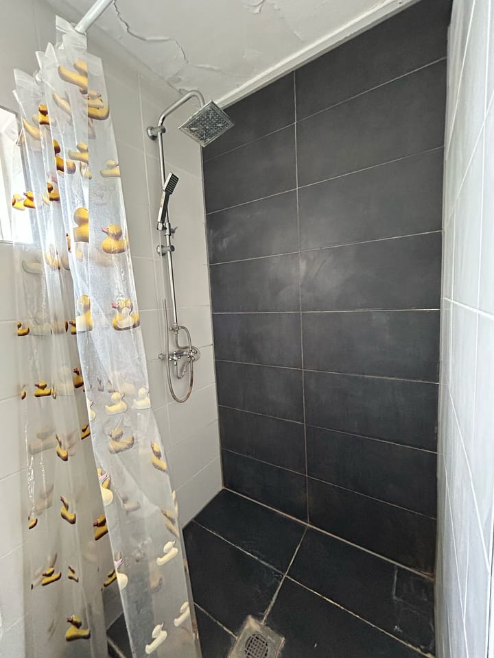 Foto 20 van Heinsiusstraat 188