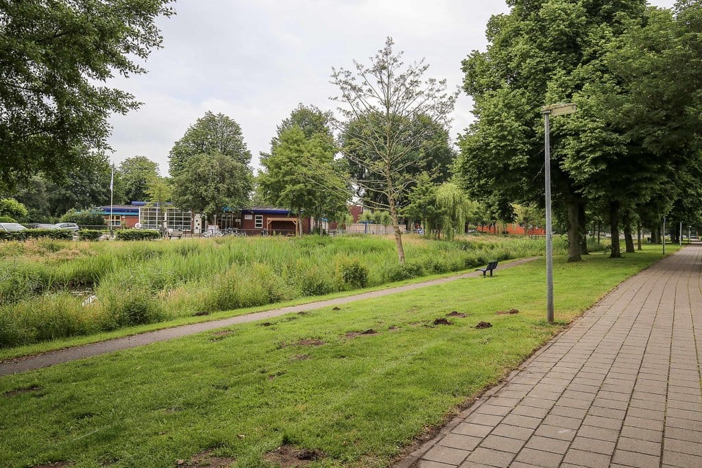 Photo 28 of Heinsiusstraat 188