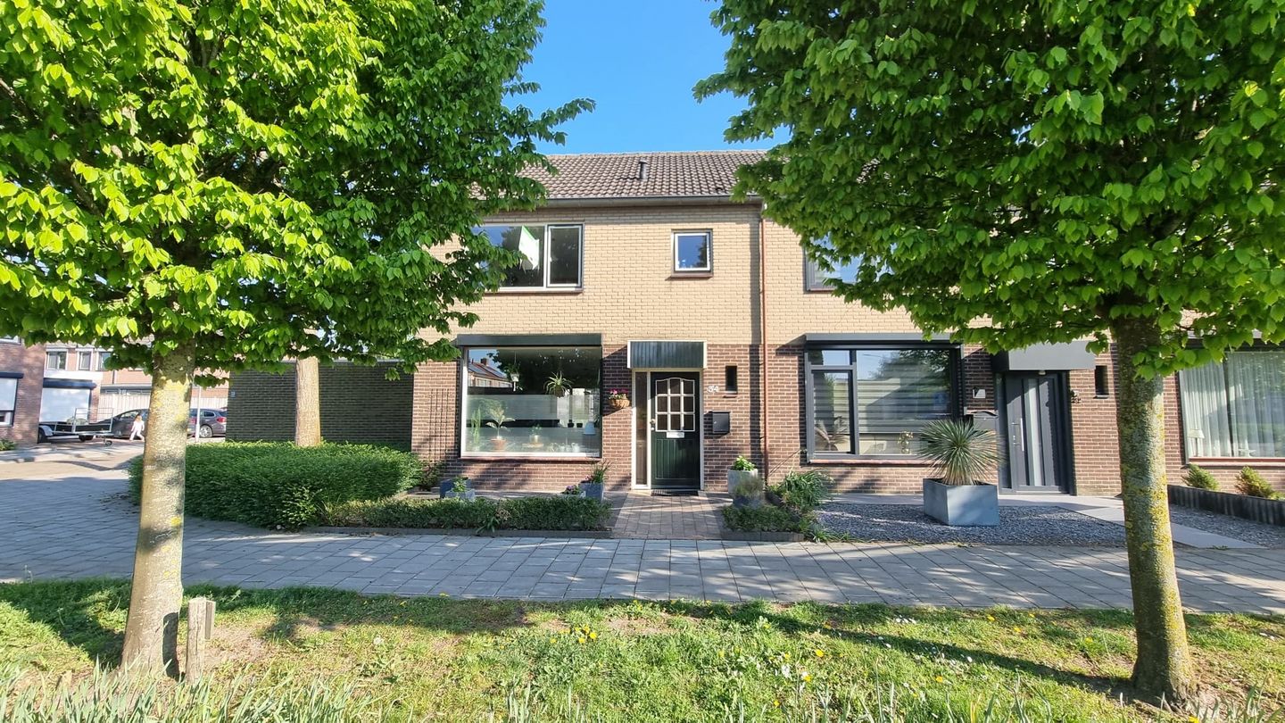 Foto 34 van Grote Beer 34