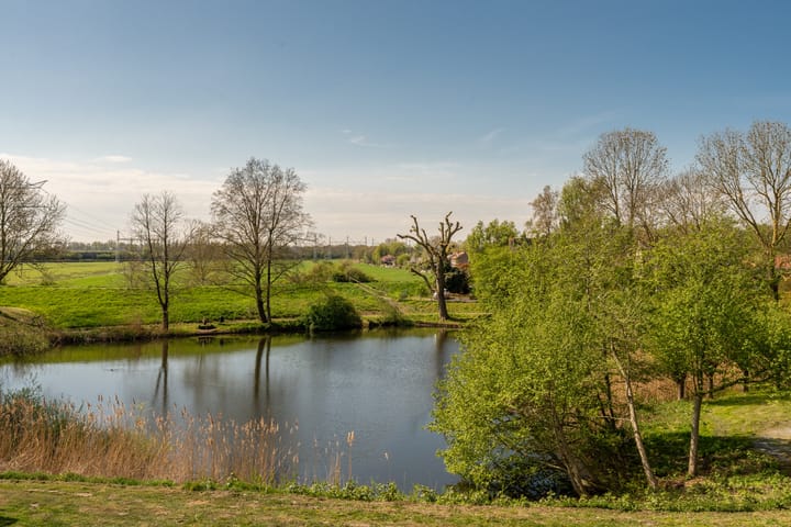 Foto 10 van Tesselschadelaan 99