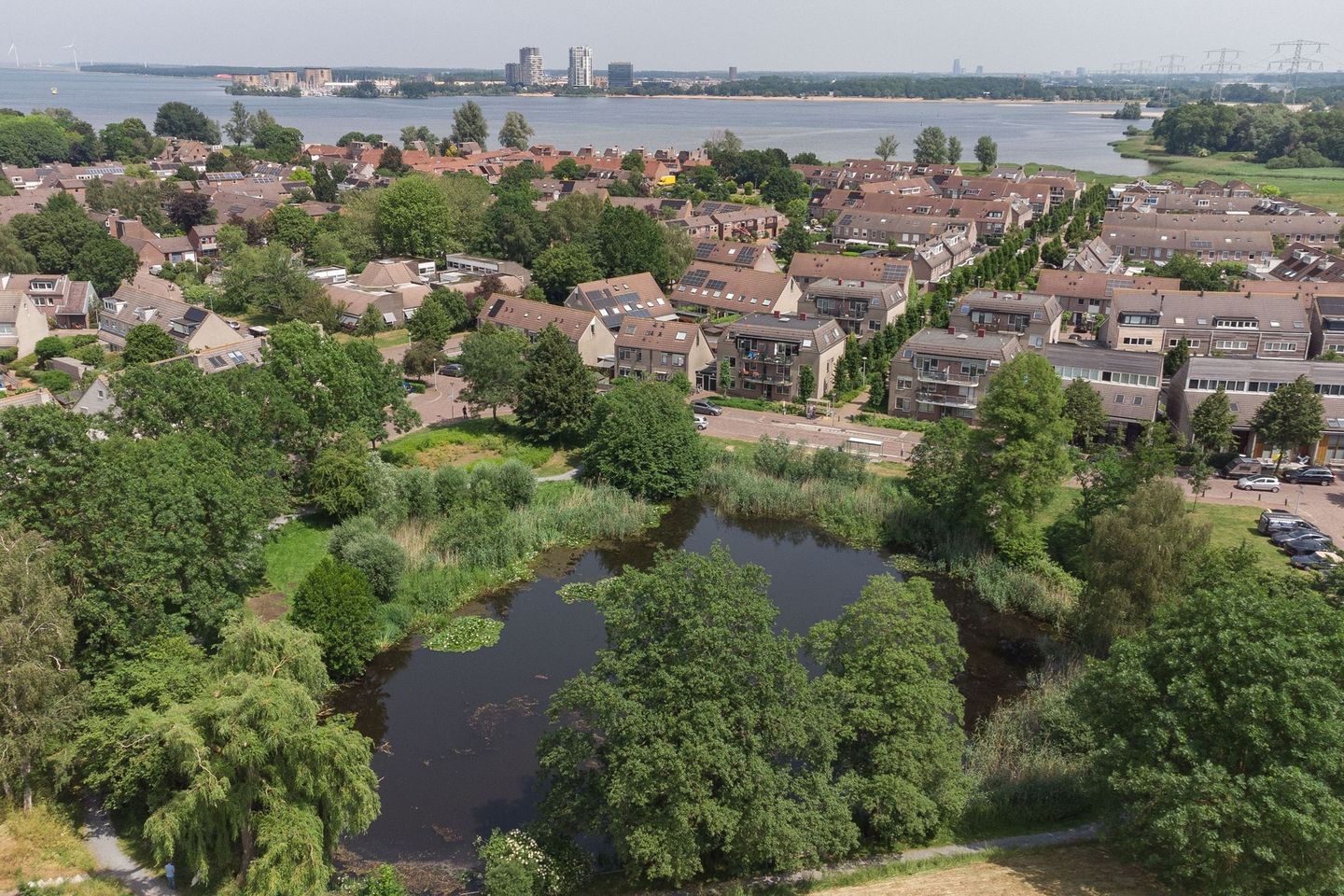 Foto 35 van Tesselschadelaan 99