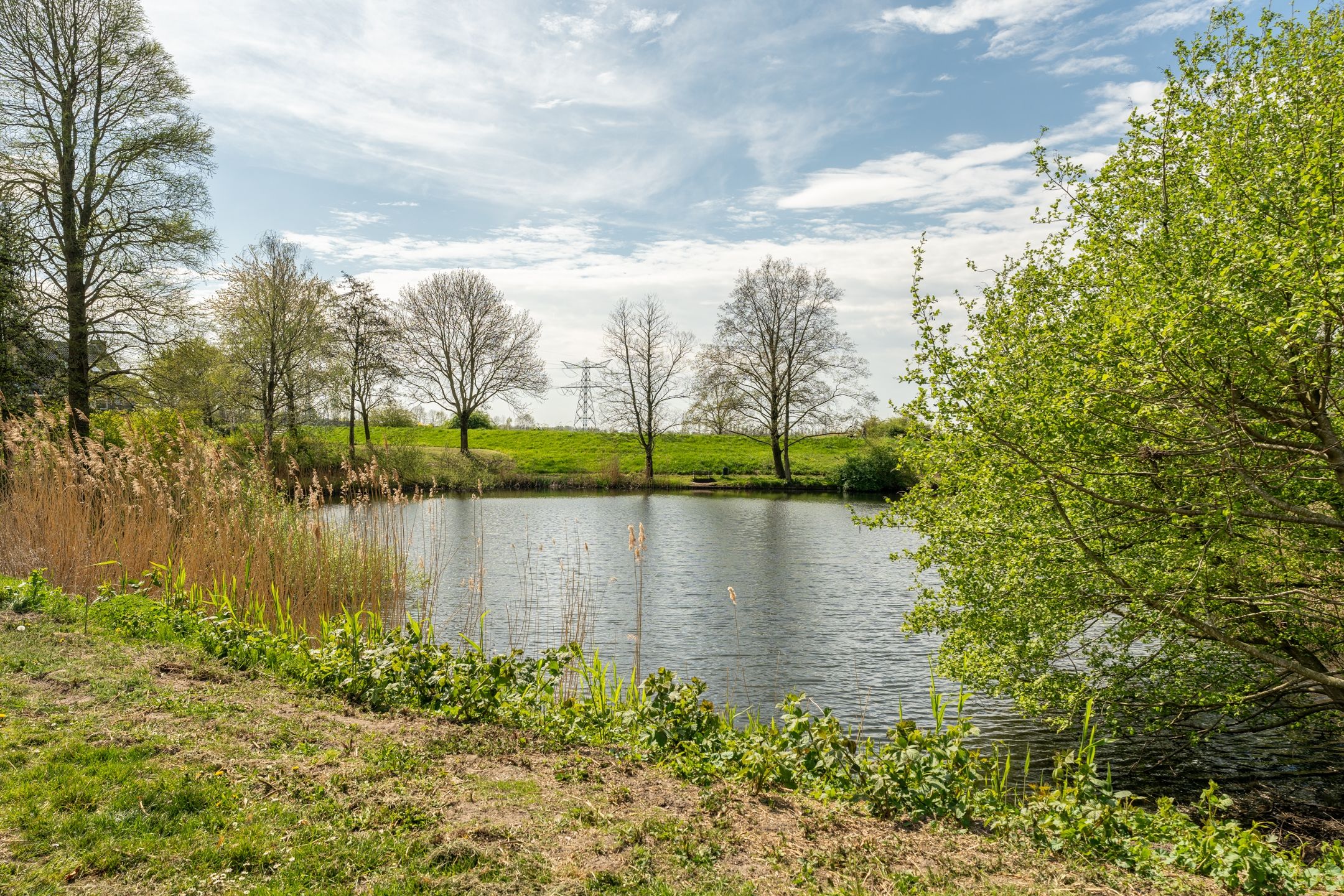 Foto 36 van Tesselschadelaan 99