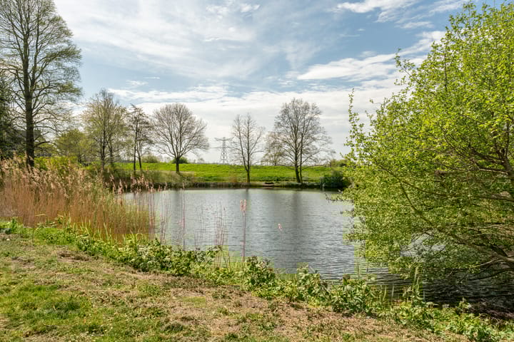 Foto 36 van Tesselschadelaan 99