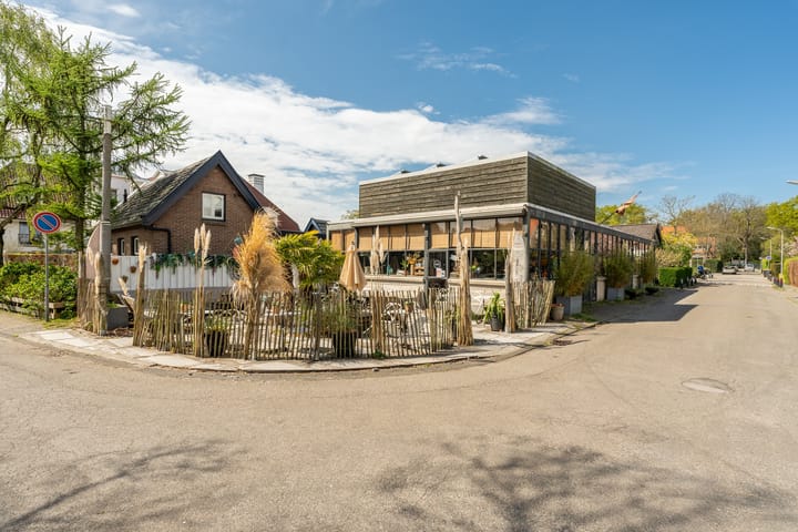 Foto 42 van Tesselschadelaan 99