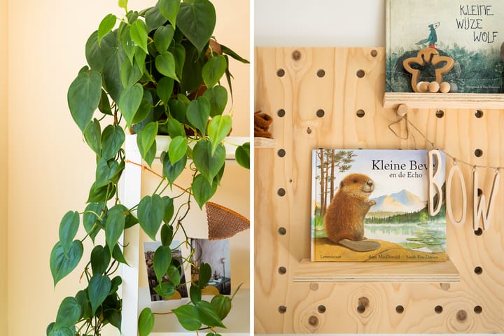 Foto 32 van Rodenrijselaan 17-A