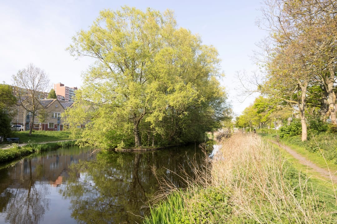 Photo 43 of Laakkade 383