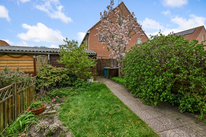 Foto 5 van Marketentster 42