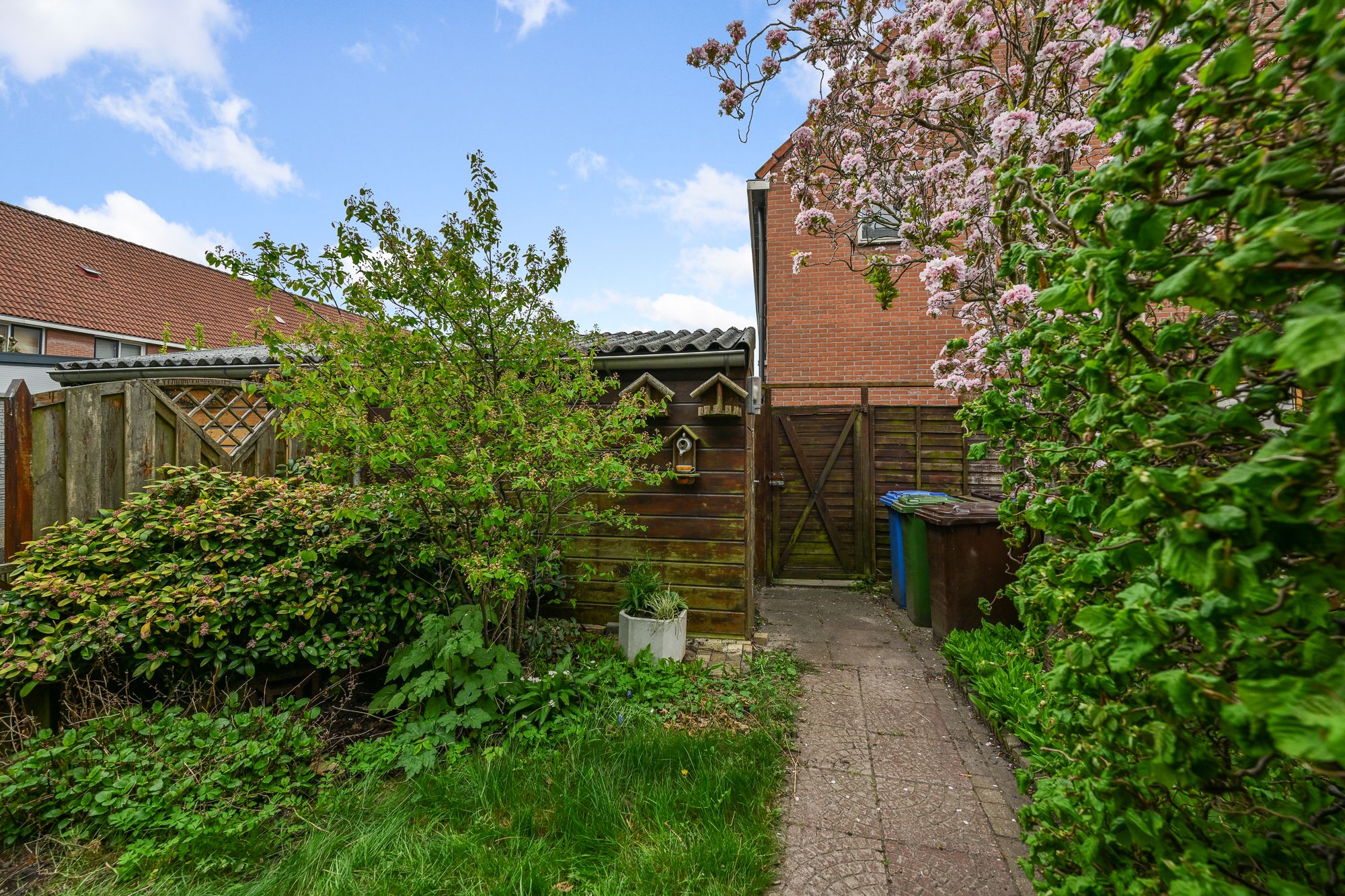 Foto 24 van Marketentster 42