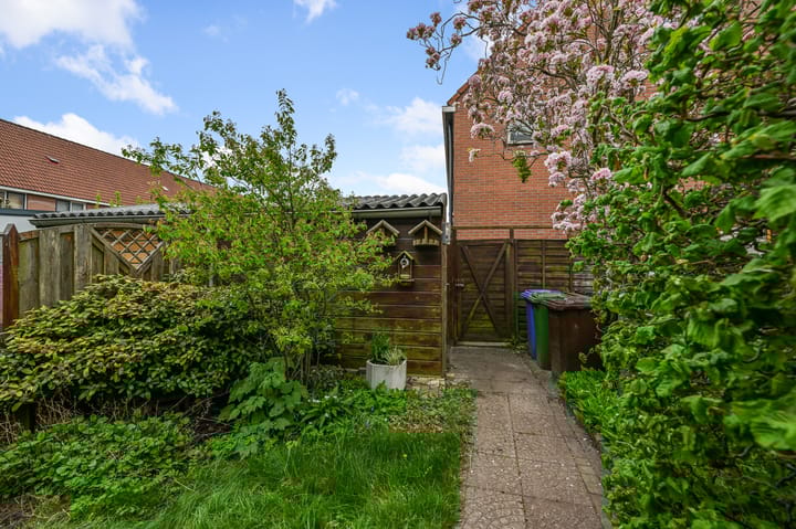 Foto 24 van Marketentster 42