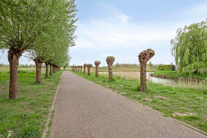 Foto 37 van Hondsdraf 47