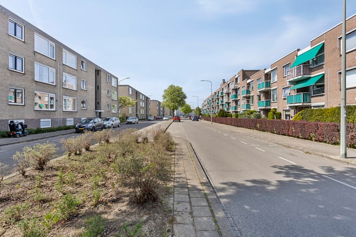 Foto 23 van Adelbert van Scharnlaan E 39