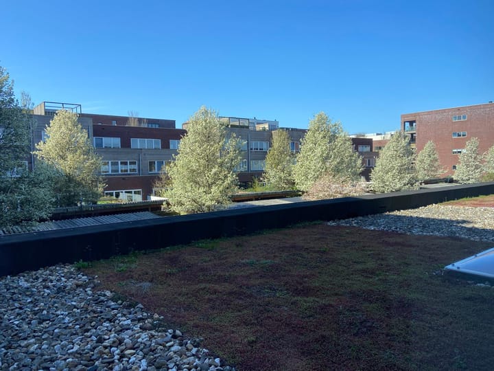 Foto 48 van Polygoongracht 32