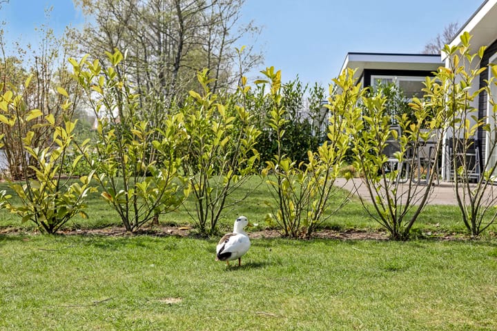 Photo 26 of Hexelseweg 80-214