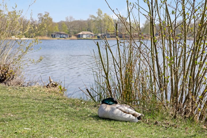 Photo 28 of Hexelseweg 80-214