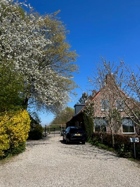 Foto 50 van Vogelenzangsestraat 7