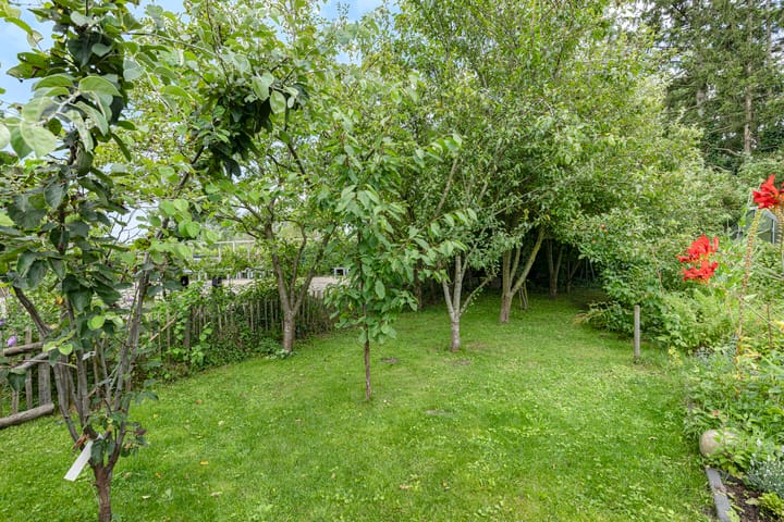 Foto 66 van Vogelenzangsestraat 7