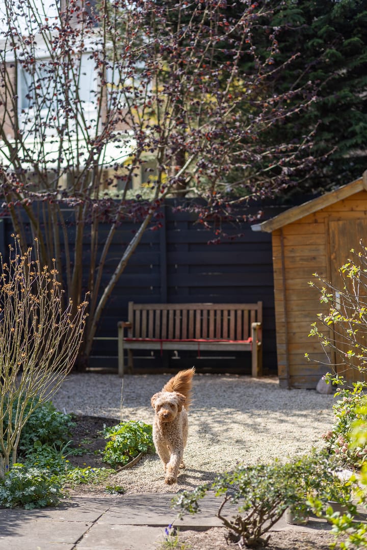 Foto 31 van Von Weberlaan 35