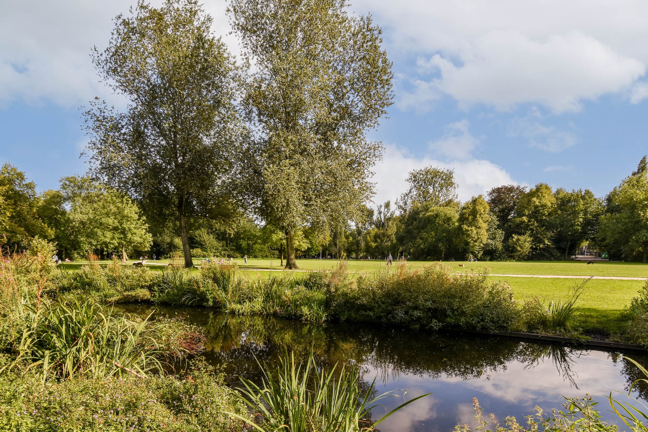 Foto 24 van Frederiksstraat 10-H