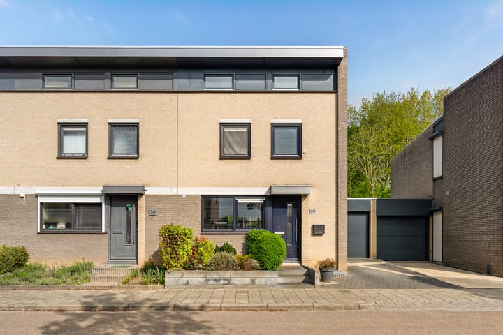 Foto 18 van Weustenraedtstraat 81