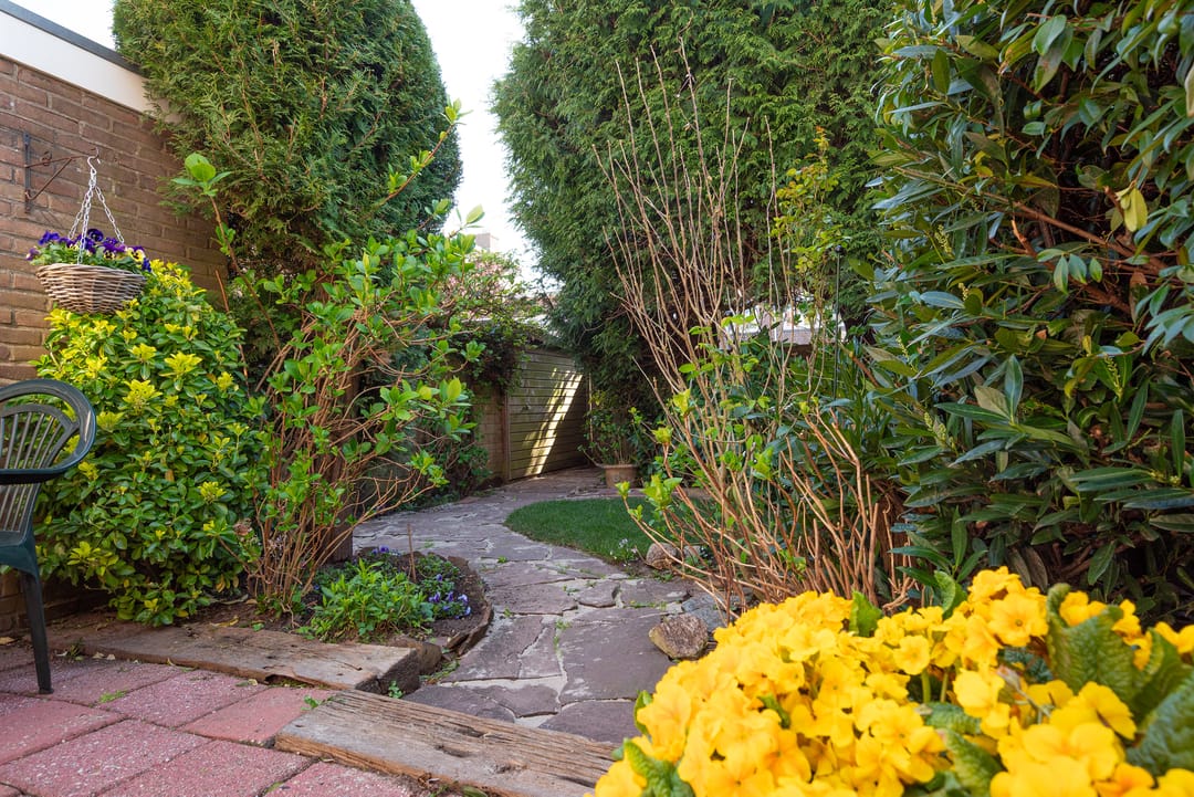 Photo 16 of Van Dortstraat 66