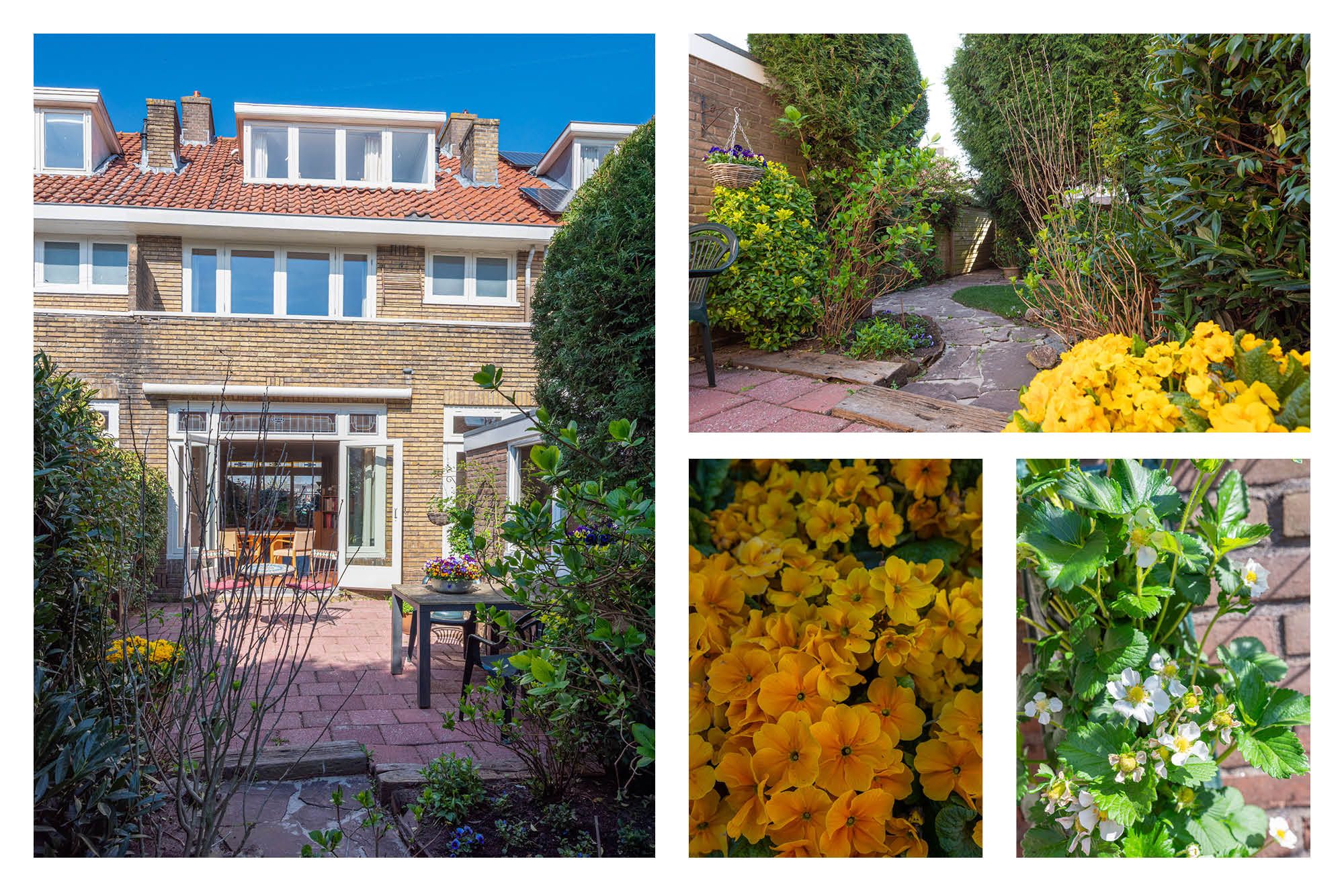 Photo 18 of Van Dortstraat 66