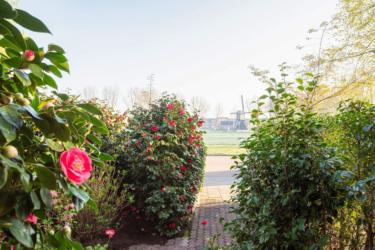 Photo 49 of Van Dortstraat 66