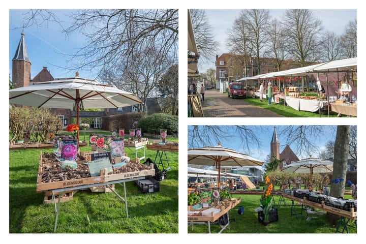 Foto 53 van Van Dortstraat 66