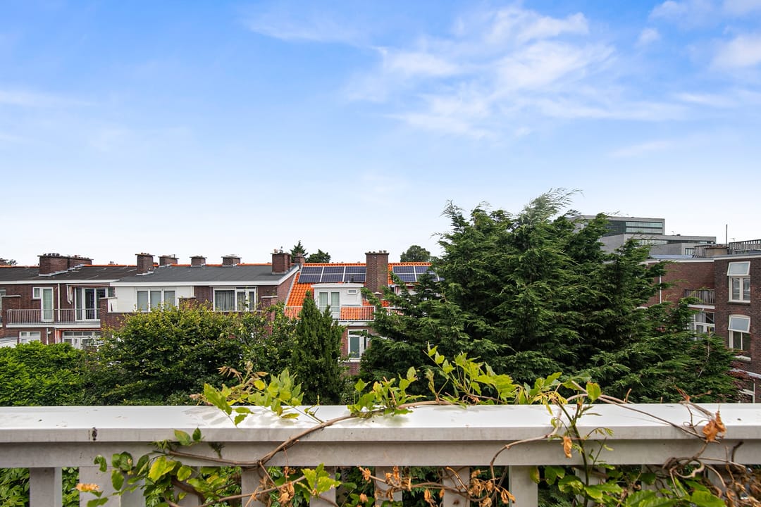 Foto 37 van Statenlaan 11