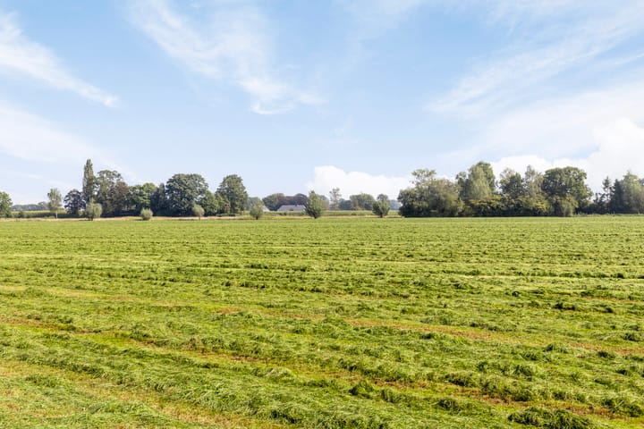 Foto 39 van Kuenenweg 6