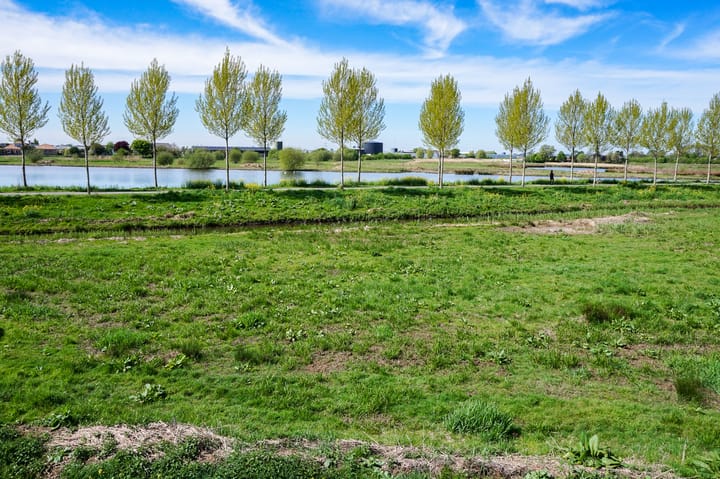 Foto 34 van Noordersingel 97