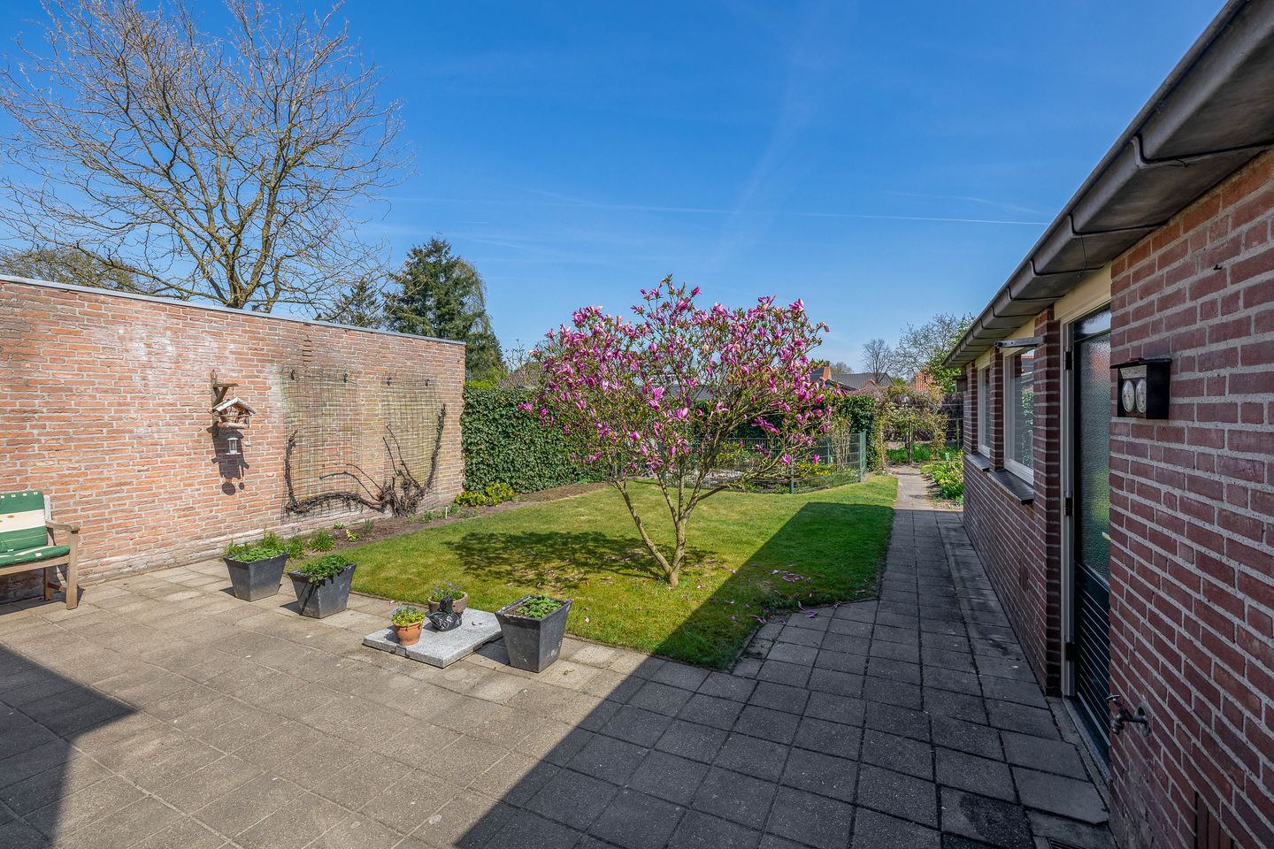 Photo 40 of Molenberg 15