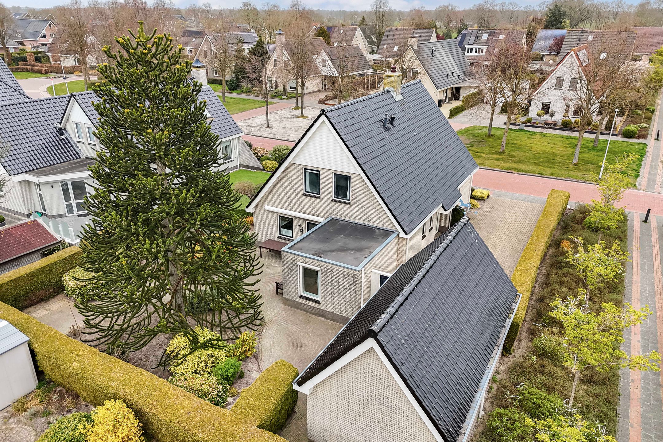 Foto 42 van Fûgelliet 16