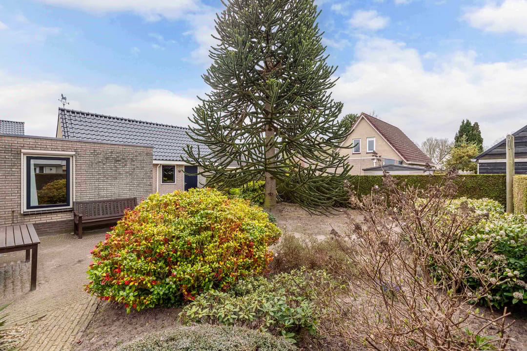 Foto 46 van Fûgelliet 16