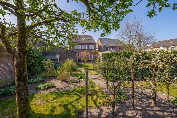 Foto 48 van Molenberg 15