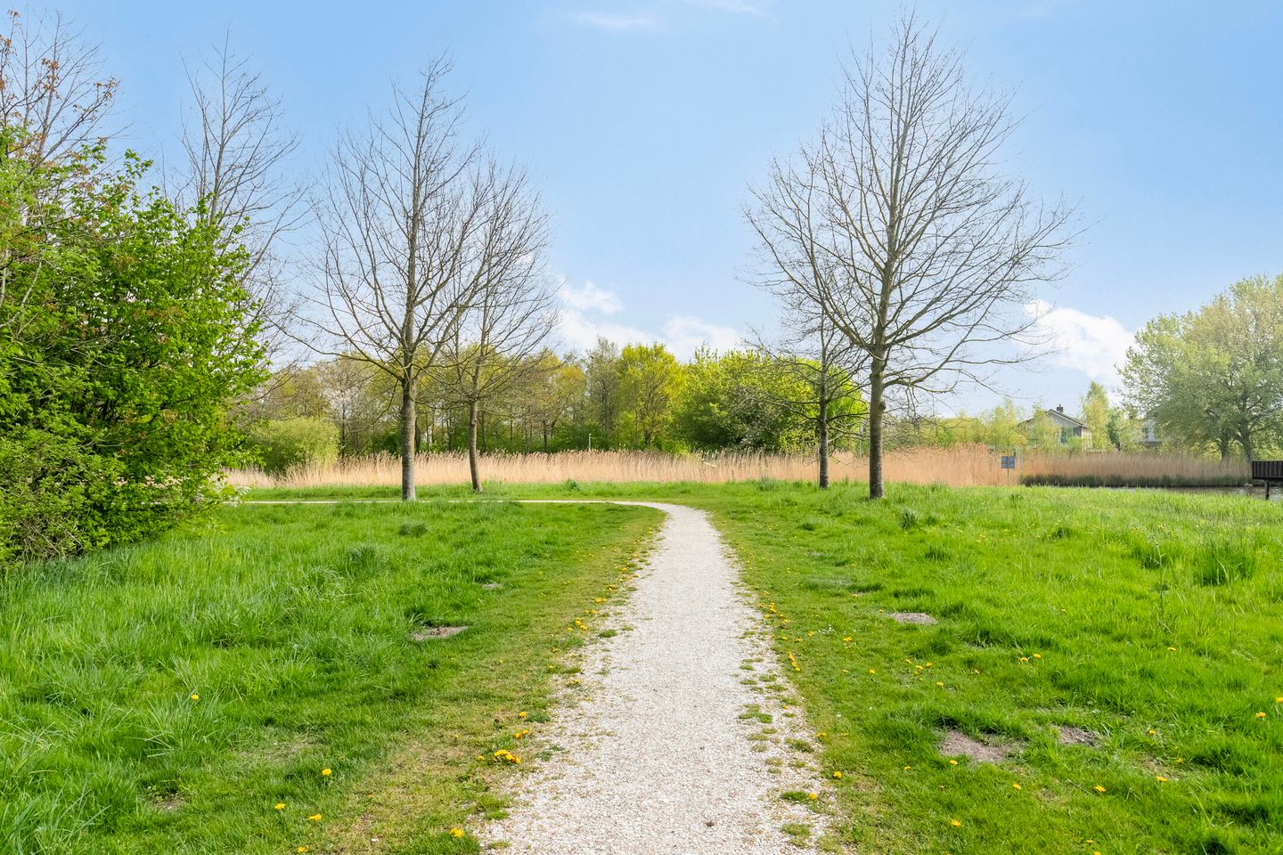 Foto 35 van Spitsbergen 77