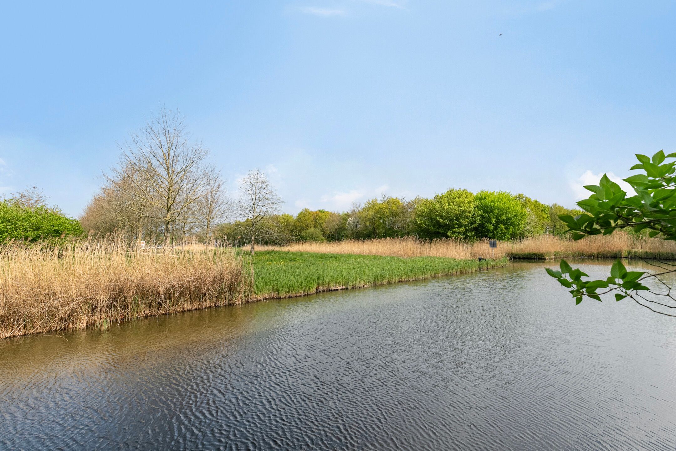 Foto 33 van Spitsbergen 77