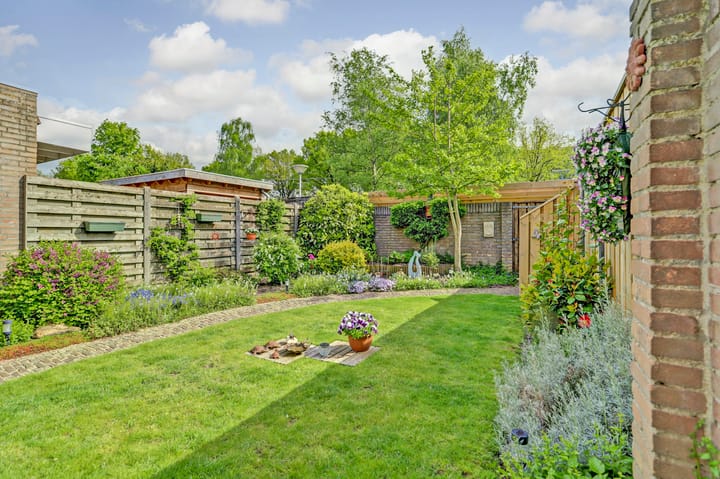 Foto 37 van Monarchstraat 41