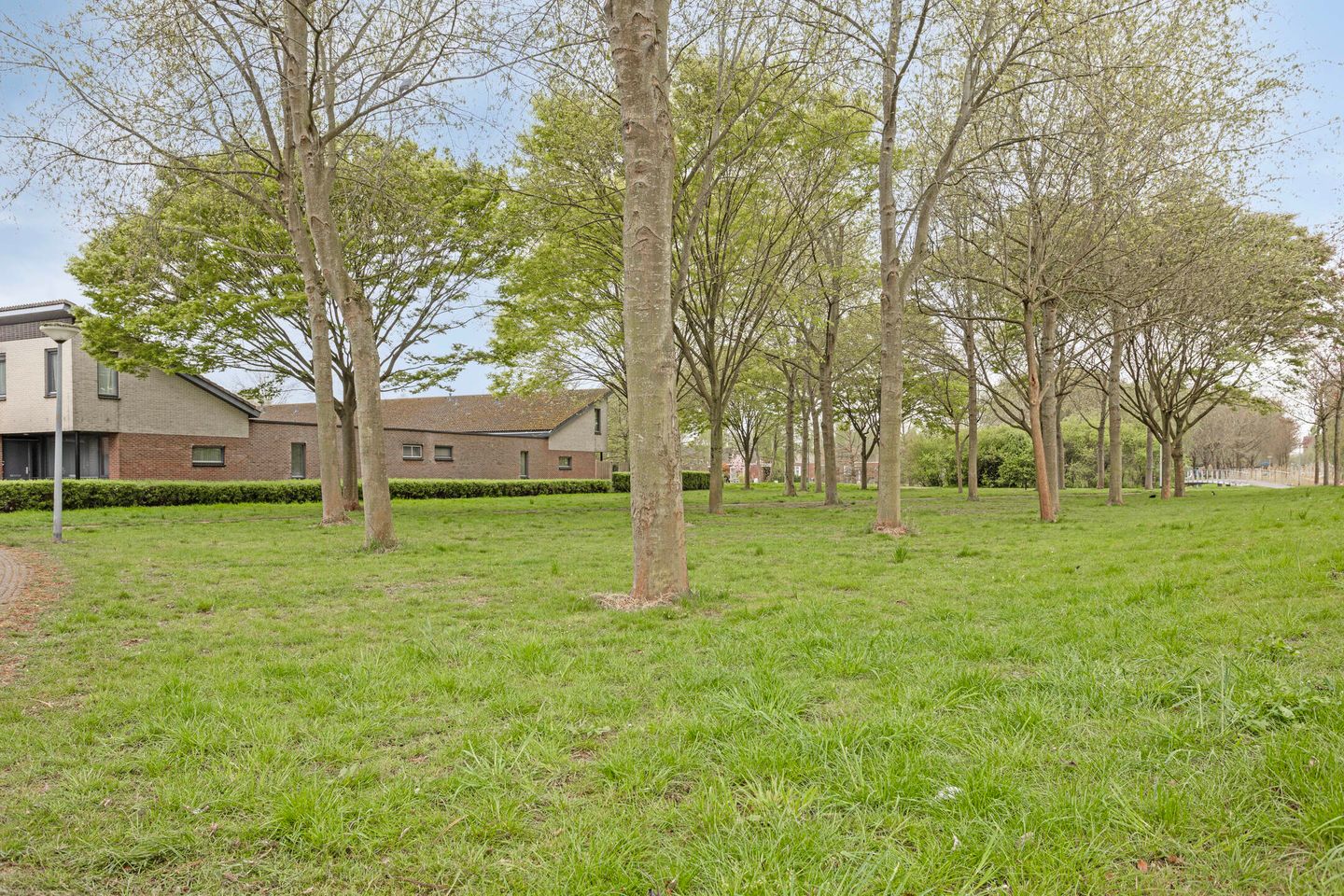 Photo 29 of Brancusistraat 43