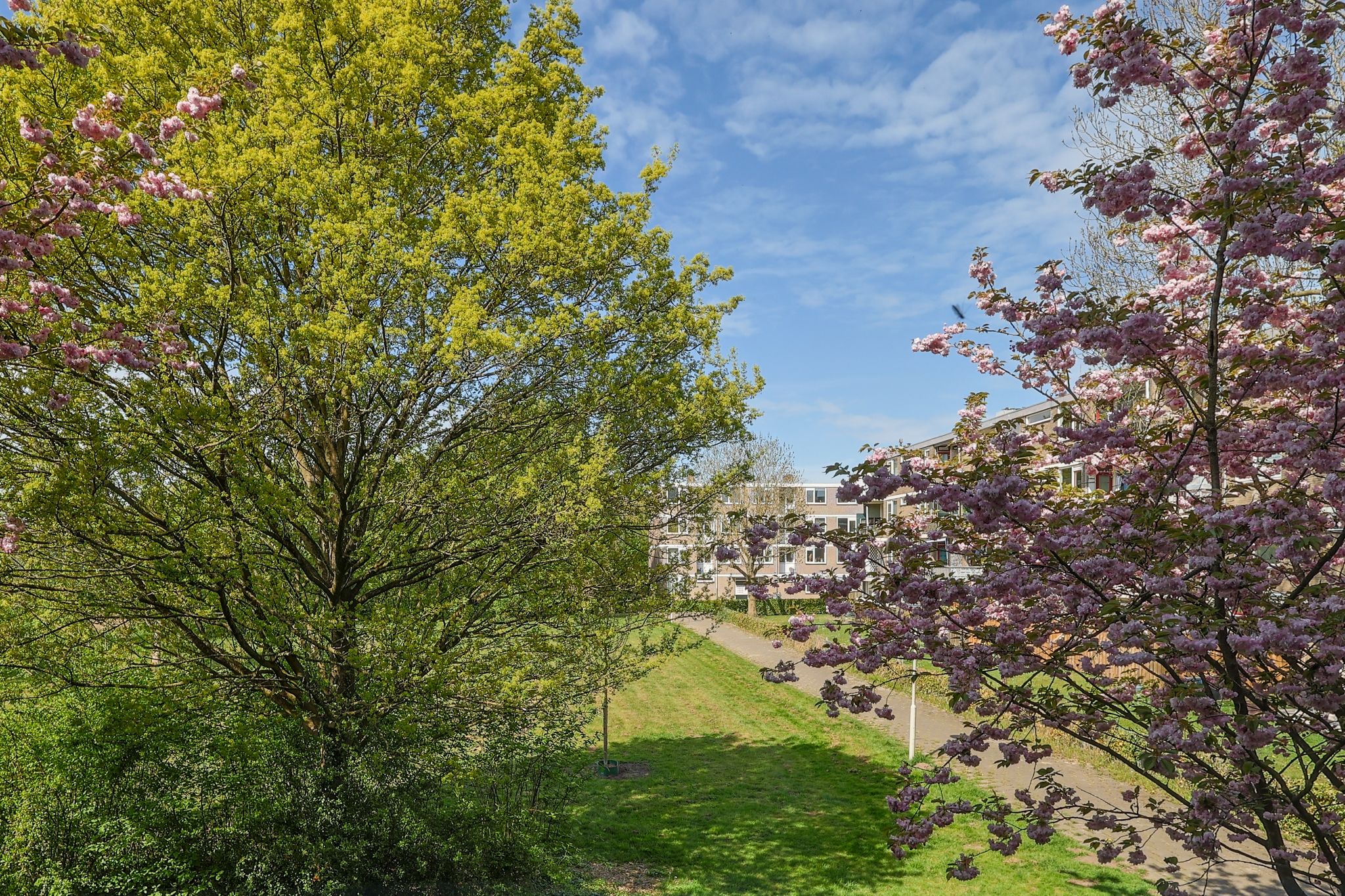 Photo 9 of Zakdragerstraat 19