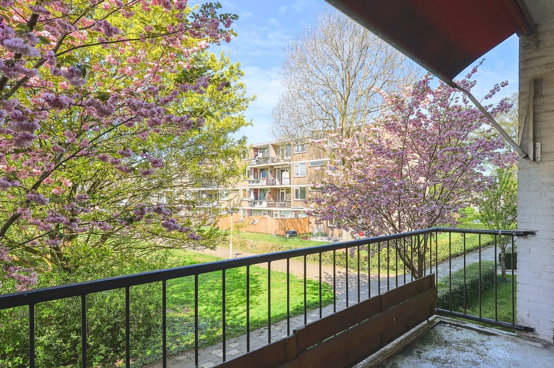 Photo 8 of Zakdragerstraat 19