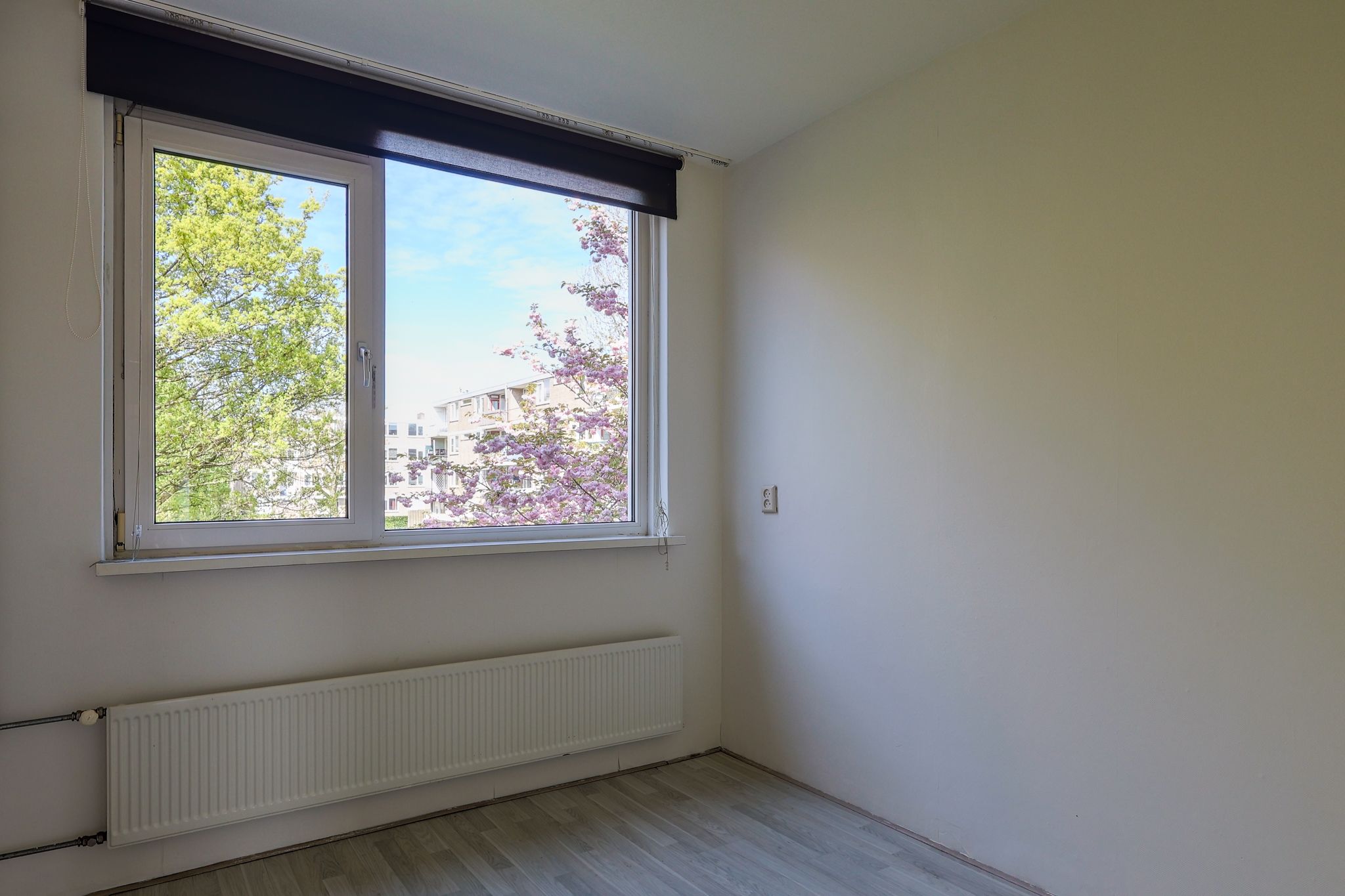 Photo 15 of Zakdragerstraat 19