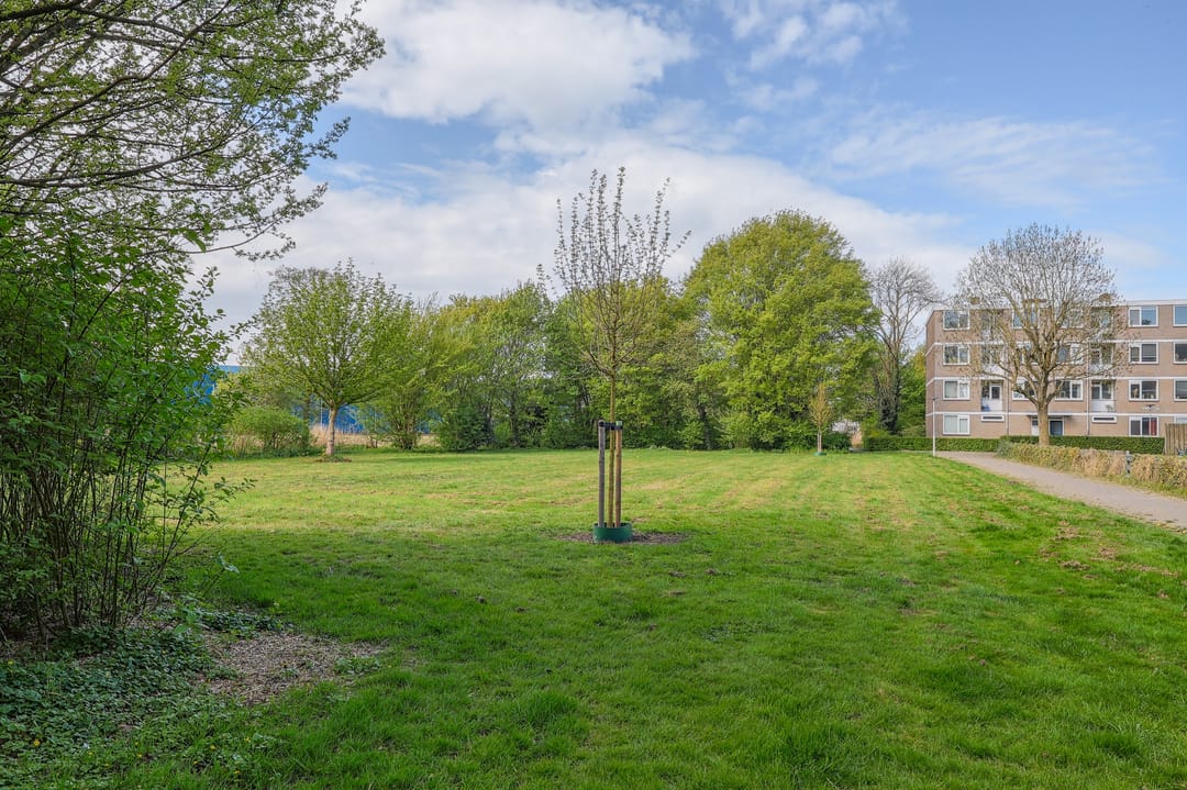 Photo 17 of Zakdragerstraat 19