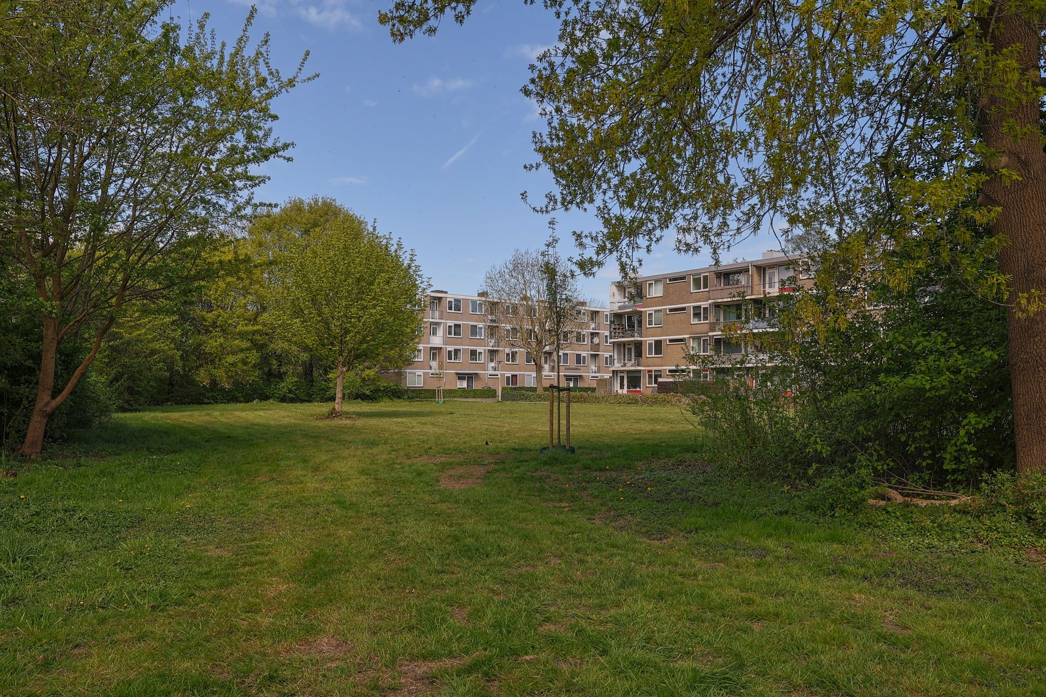 Photo 18 of Zakdragerstraat 19