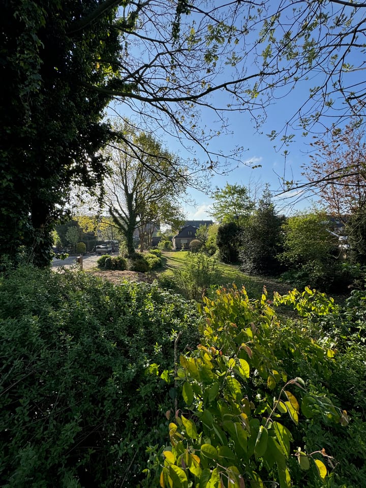 Foto 17 van Legmeerdijk 172