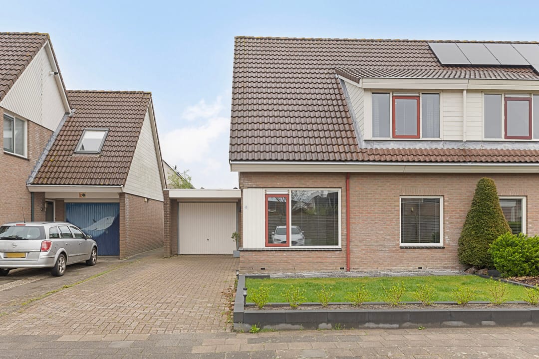 Foto 1 van Zwenkgras 8