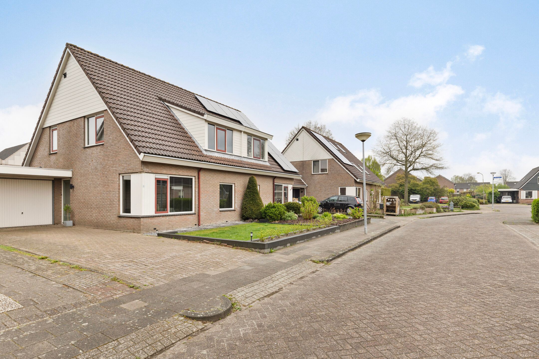 Foto 6 van Zwenkgras 8