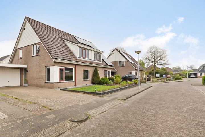 Foto 6 van Zwenkgras 8